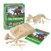Dig Discover Triceratops
