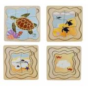 Green Sea Turtle Life Cycle Layer Puzzle