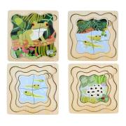 Green Tree Frog Life Cycle Layer Puzzle