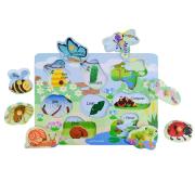 Insects And Habitats Peg Puzzle