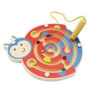 Ladybird Magnetic Labyrinth