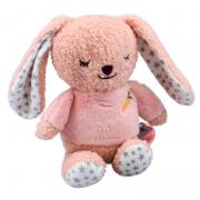 Snuggle Berry Bunny Jiggler