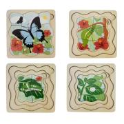 Ulysses Butterfly Life Cycle Layer Puzzle