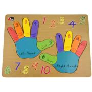 Counting Fingers Hands Puzzle