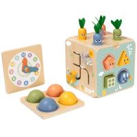 Activity Cube Multi Function Playset