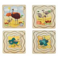 Emu Life Cycle Layer Puzzle