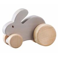 Rabbit Animal Push Car