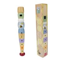 Rainbow Recorder
