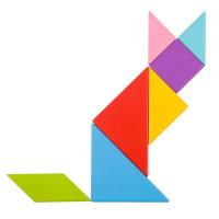 Coloured Wooden Tangram Puzzle