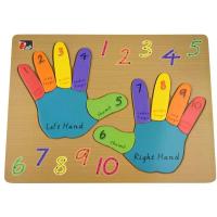 Counting Fingers Hands Puzzle