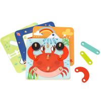 Wooden Copy Picture Shape Puzzle