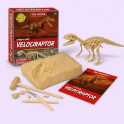 Browse Toy Category: Dig Kits