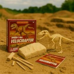 Browse Toy Category: Dig Kits