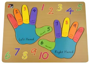 Counting Fingers Hands Puzzle