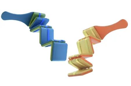 Jacobs Ladder Set of Two