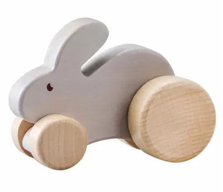Rabbit Animal Push Car