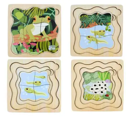 Green Tree Frog Life Cycle Layer Puzzle