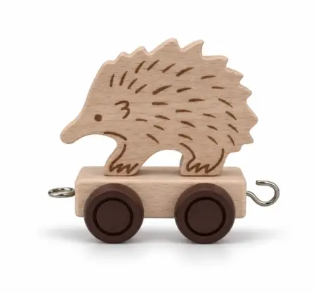 Wooden Name Train Echidna
