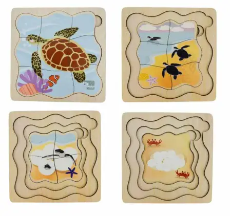 Green Sea Turtle Life Cycle Layer Puzzle
