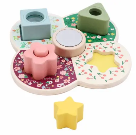 Shape Sorter Activity Blocks
