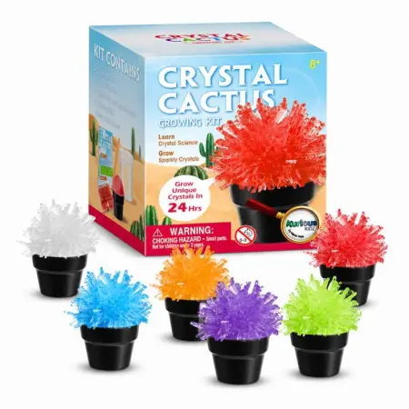Crystal Cactus Mini Kit Set of Six
