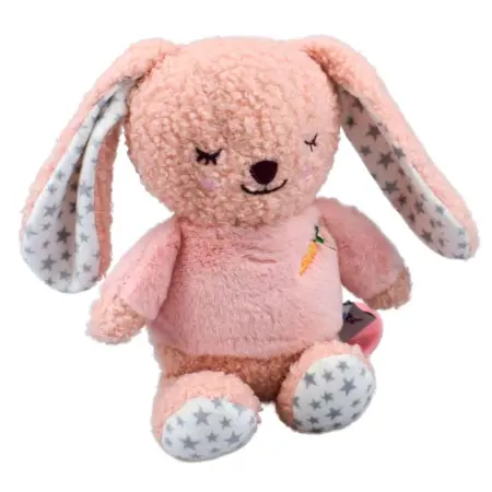 Snuggle Berry Bunny Jiggler
